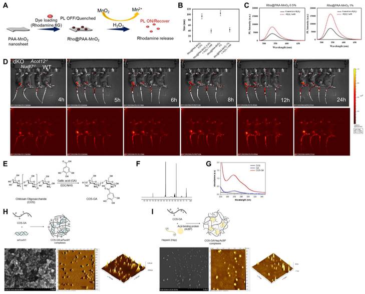 Theranostics Image