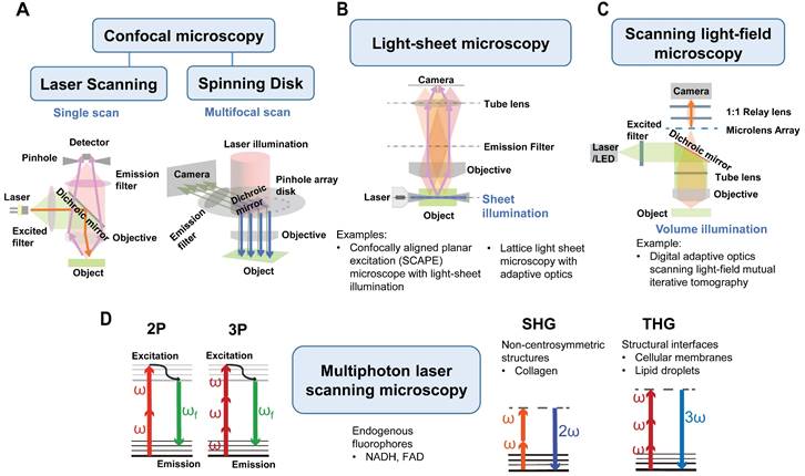 Theranostics Image