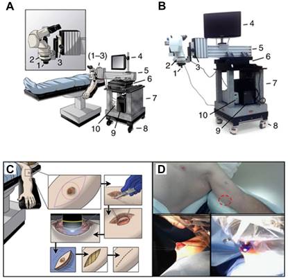 Theranostics Image