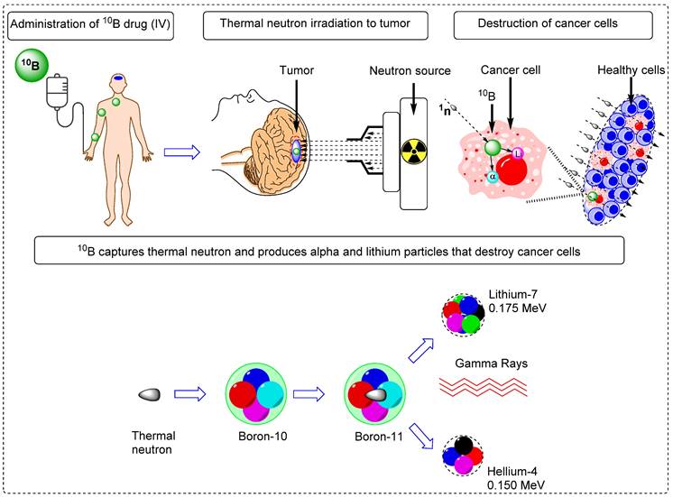 Theranostics Image