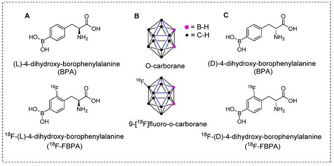 Theranostics Image