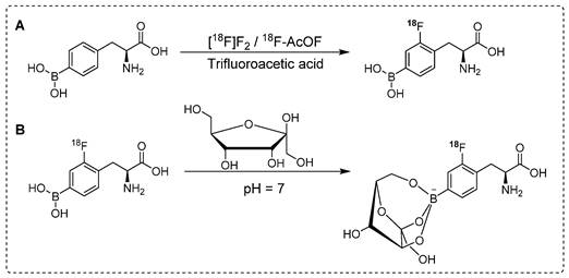 Theranostics Image