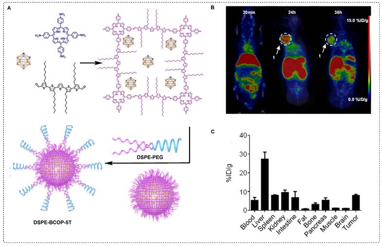 Theranostics Image