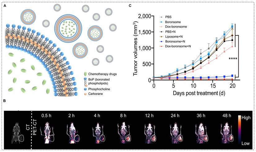 Theranostics Image