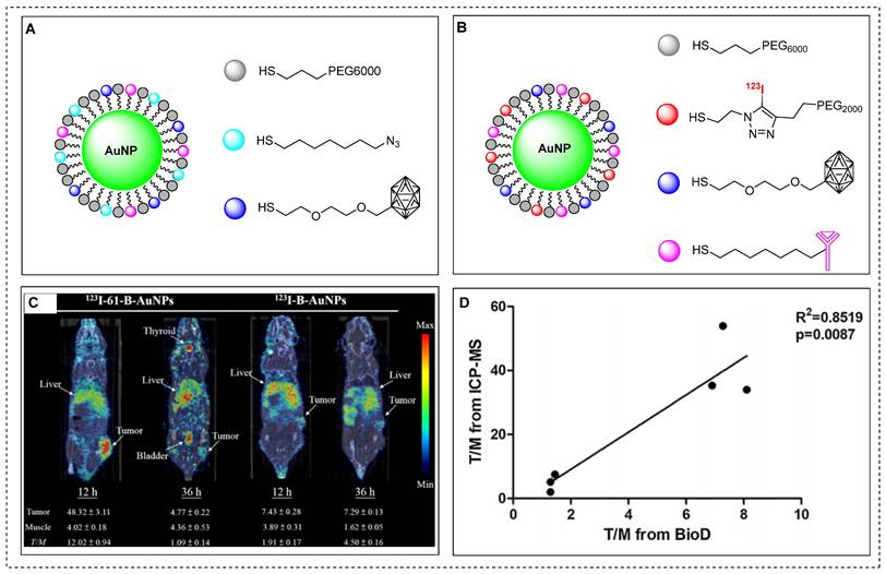 Theranostics Image