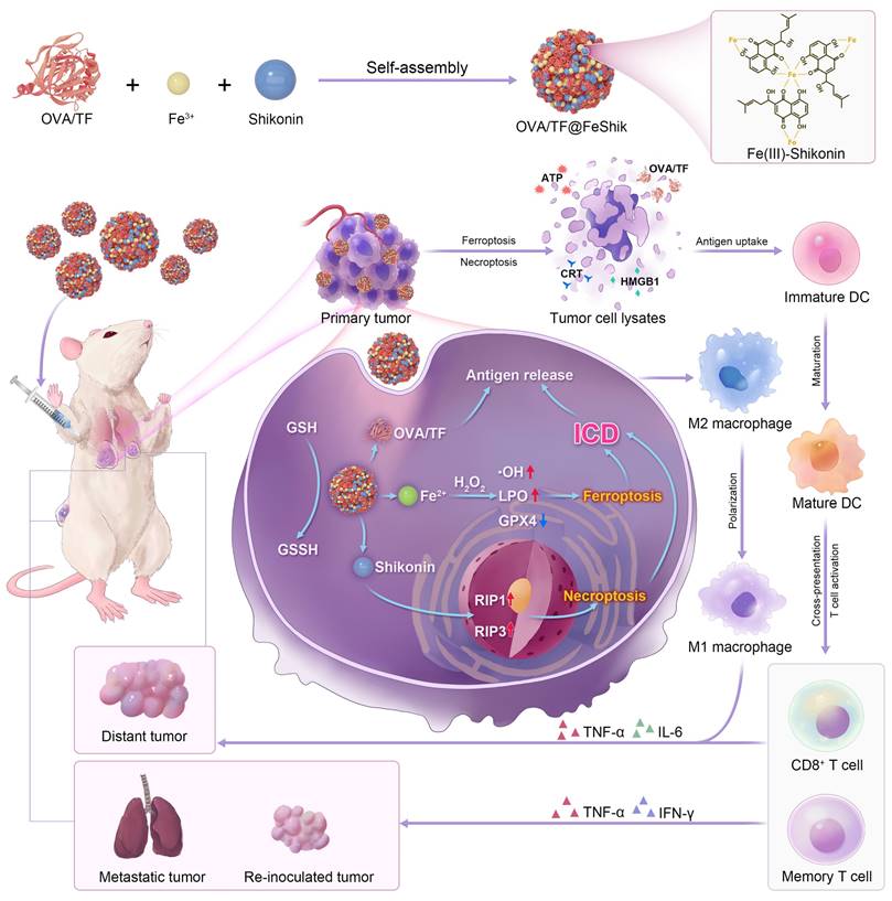 Theranostics Image