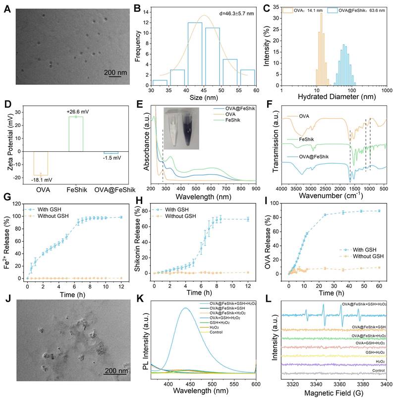 Theranostics Image