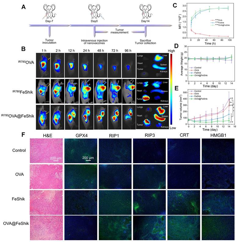 Theranostics Image