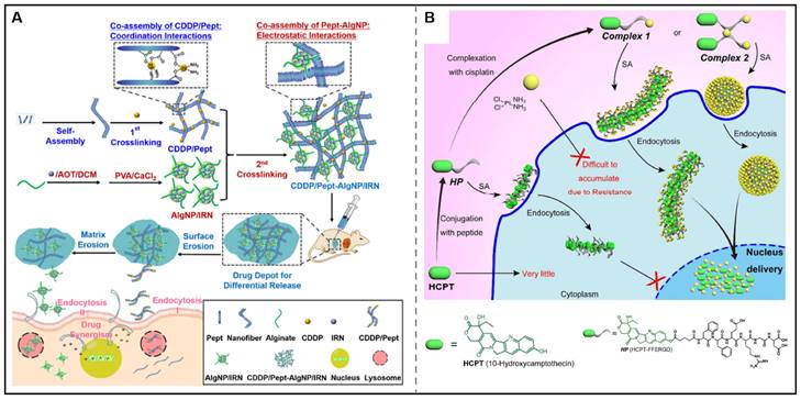 Theranostics Image