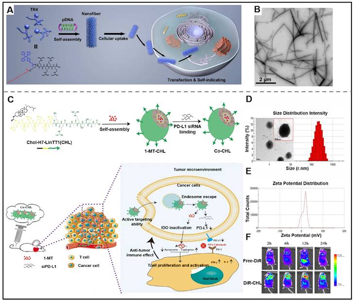 Theranostics Image