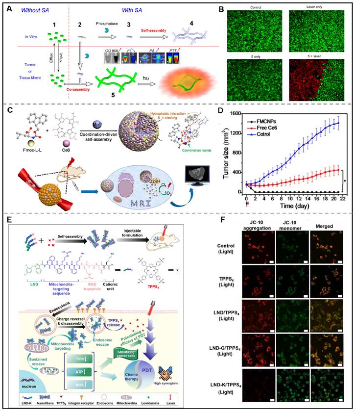 Theranostics Image