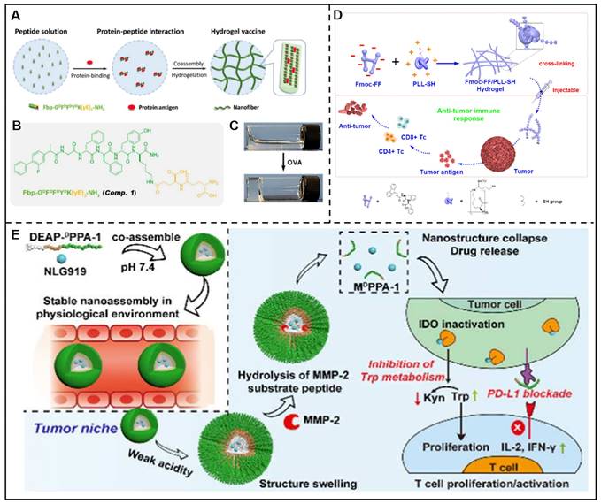 Theranostics Image