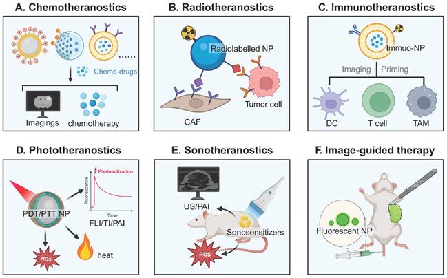 Theranostics Image