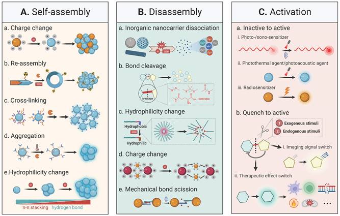 Theranostics Image