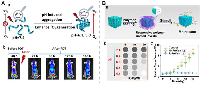 Theranostics Image