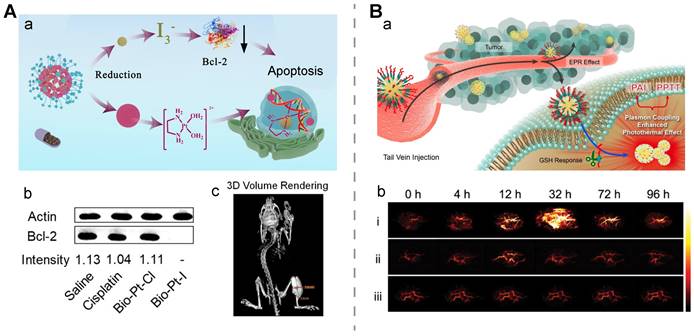 Theranostics Image