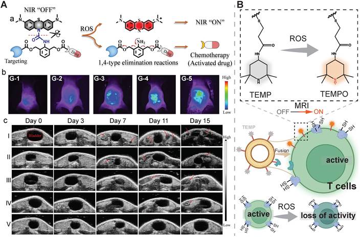 Theranostics Image