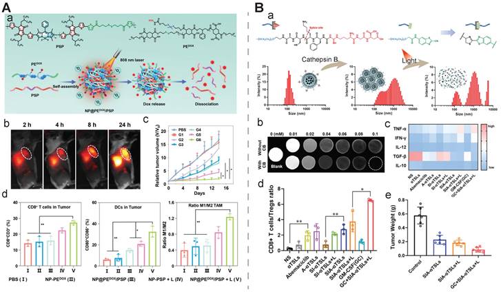 Theranostics Image