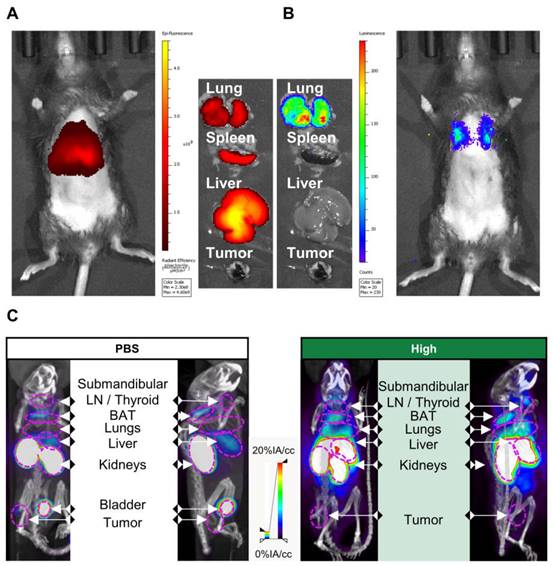 Theranostics Image