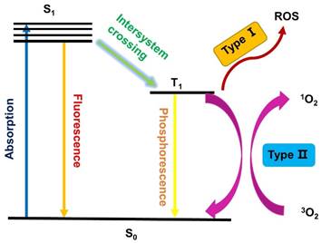 Theranostics Image