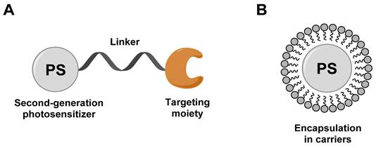 Theranostics Image