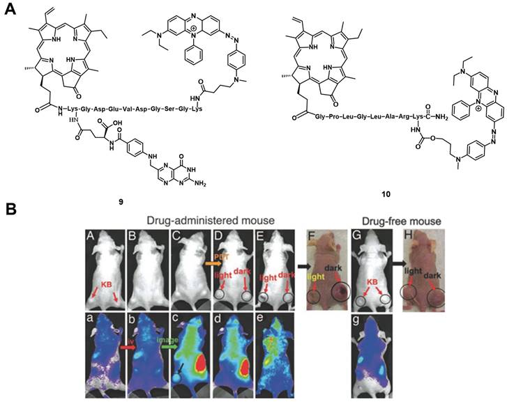 Theranostics Image