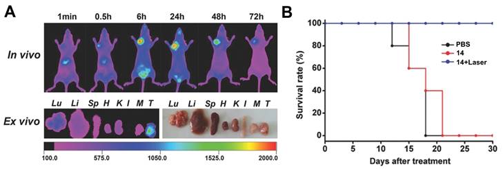 Theranostics Image