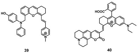 Theranostics Image