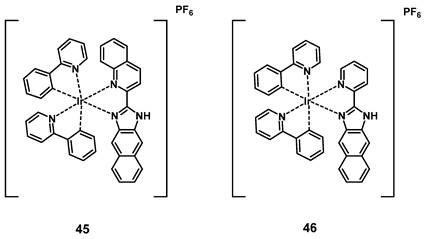 Theranostics Image