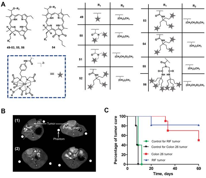 Theranostics Image