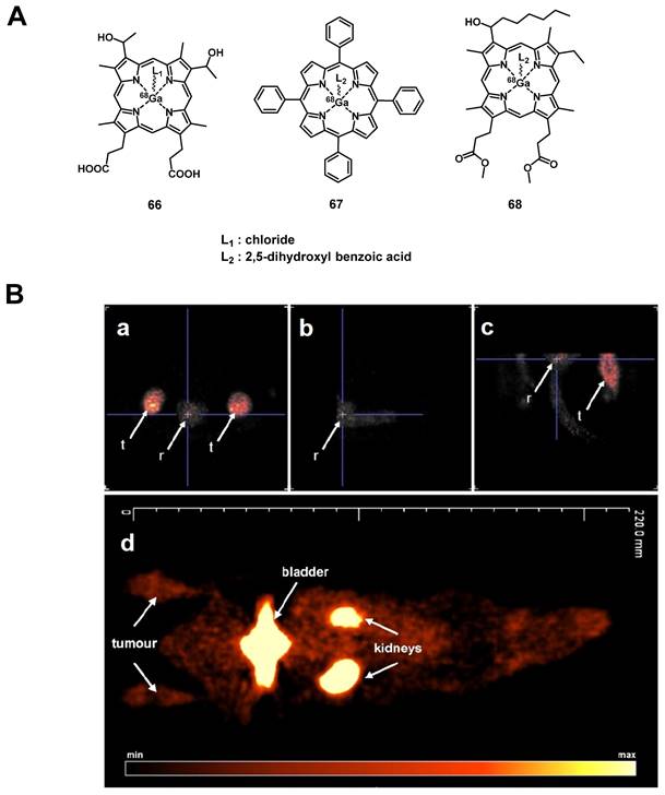 Theranostics Image