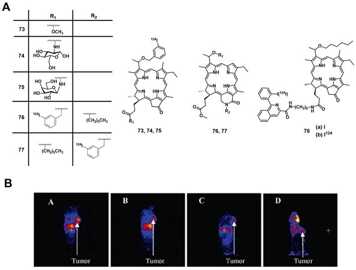 Theranostics Image