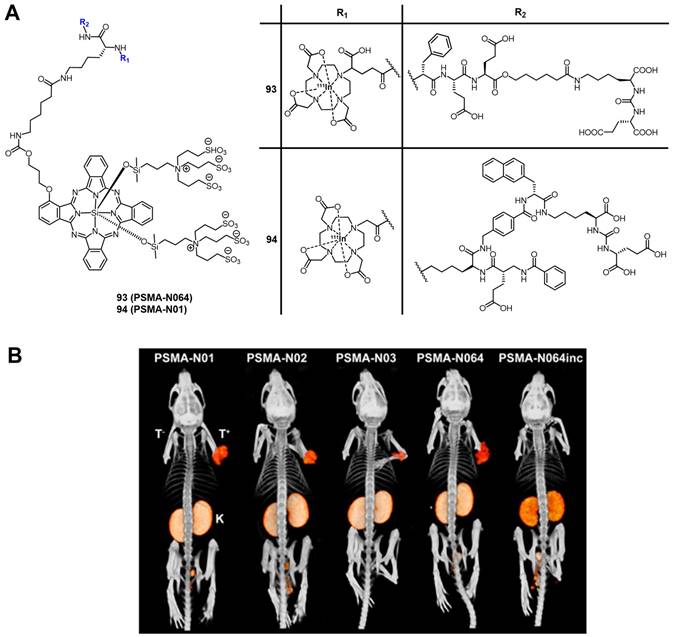 Theranostics Image