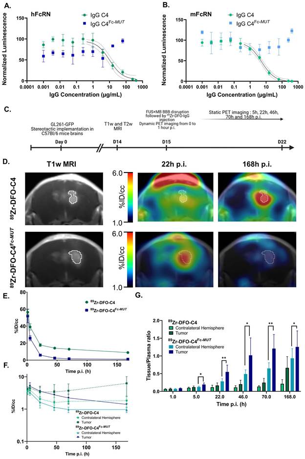 Theranostics Image