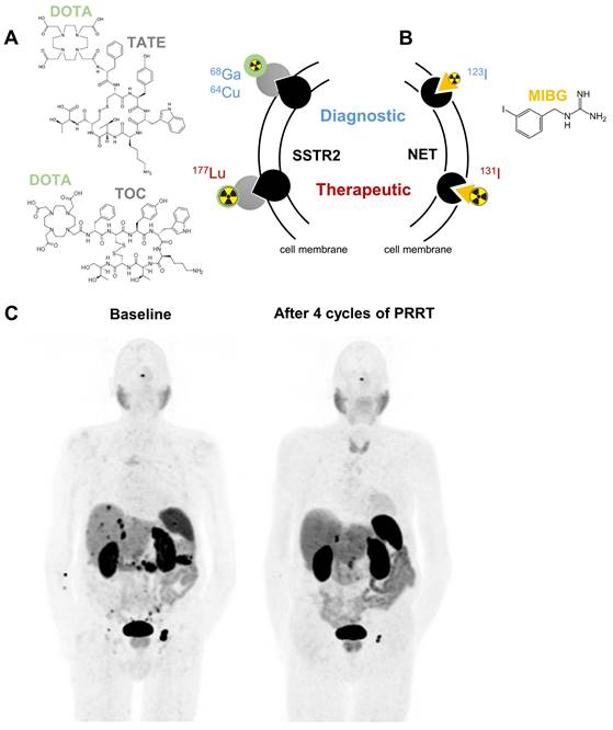 Theranostics Image