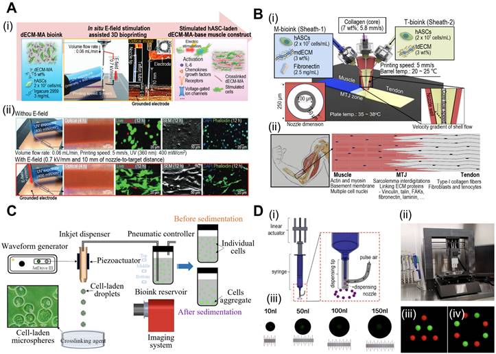 Theranostics Image