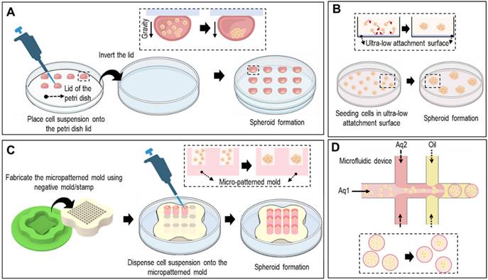 Theranostics Image