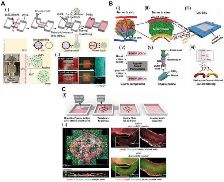 Theranostics Image