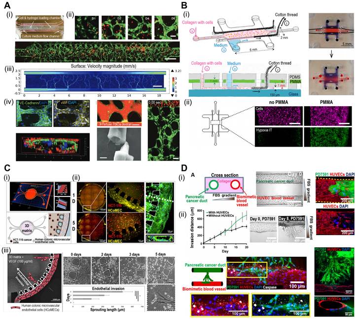 Theranostics Image