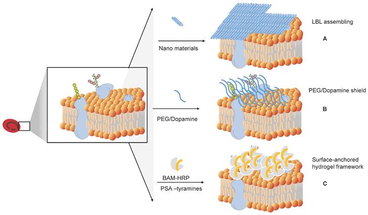 Theranostics Image