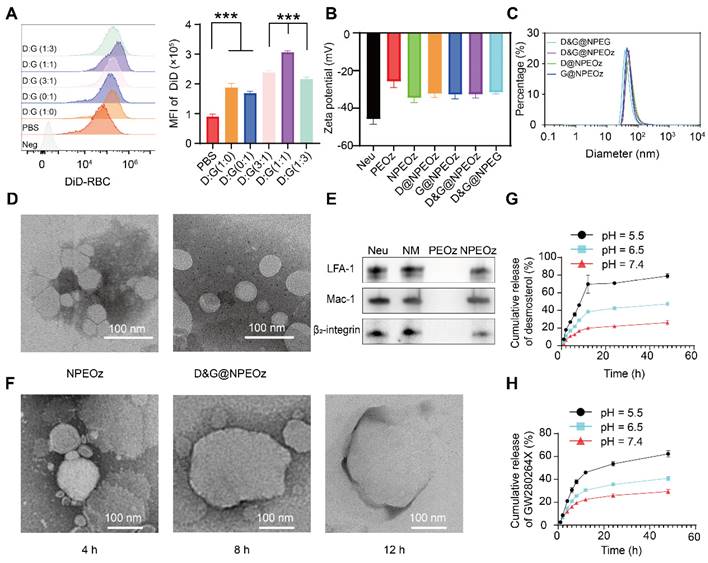 Theranostics Image