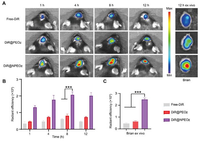 Theranostics Image