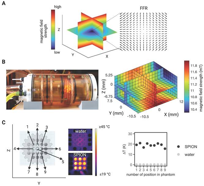 Theranostics Image