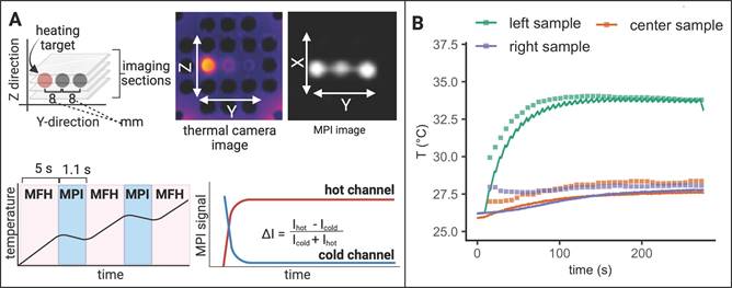 Theranostics Image