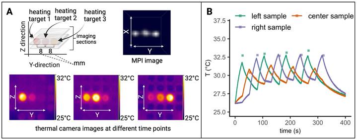 Theranostics Image