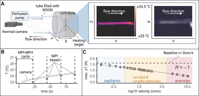 Theranostics Image