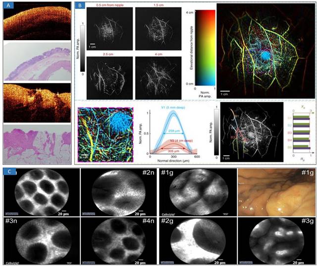 Theranostics Image