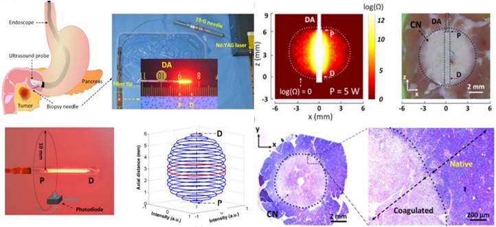 Theranostics Image