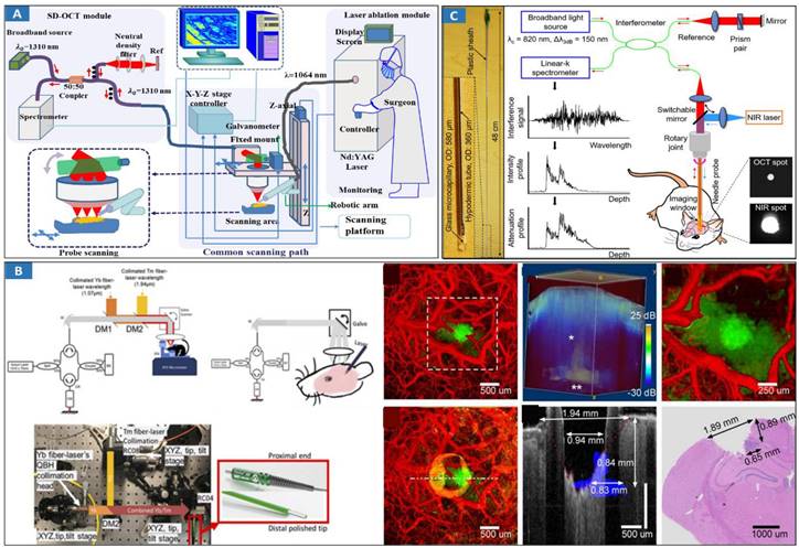 Theranostics Image