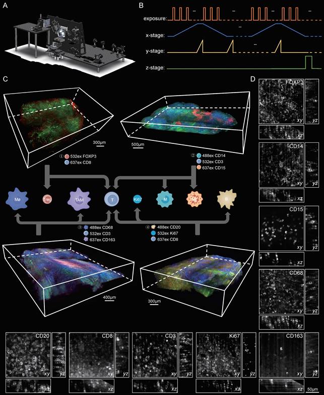 Theranostics Image